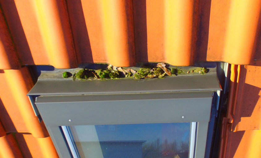 Dachinspektion per Drohne: Moos auf Dachfenster