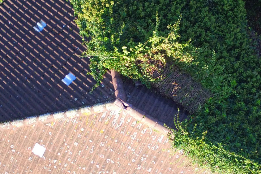 Dachinspektion per Drohne: Dachbegrünung